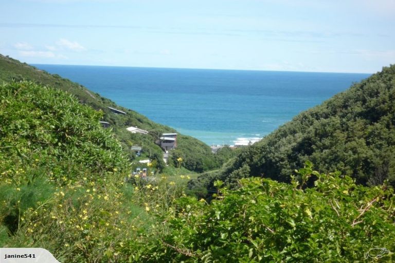 Photo of property in 119 Houghton Bay Road, Houghton Bay, Wellington, 6023