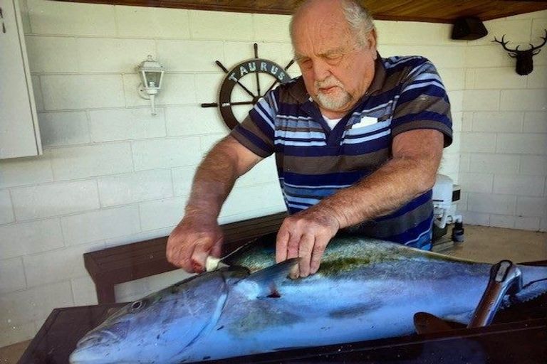 Photo of property in 4 Burrows Street, Tauranga South, Tauranga, 3112