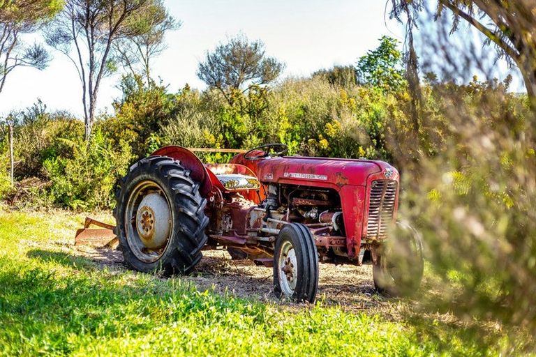 Photo of property in 80 Southernthread Road, Brooklyn, Wellington, 6021