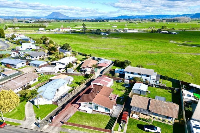 Photo of property in 20 Tawhara Place, Edgecumbe, 3120