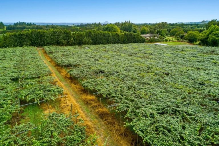 Photo of property in 37 Jacks Lane, Oropi, Tauranga, 3173