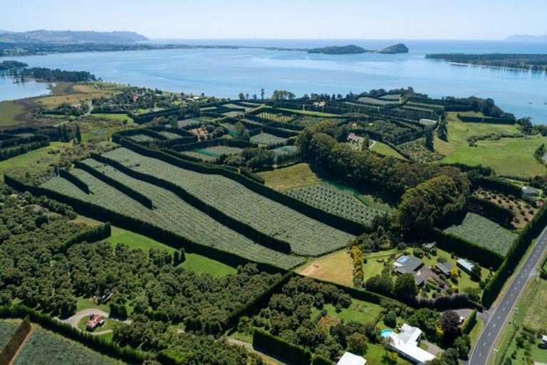 Photo of property in 215 Ongare Point Road, Tahawai, 3170