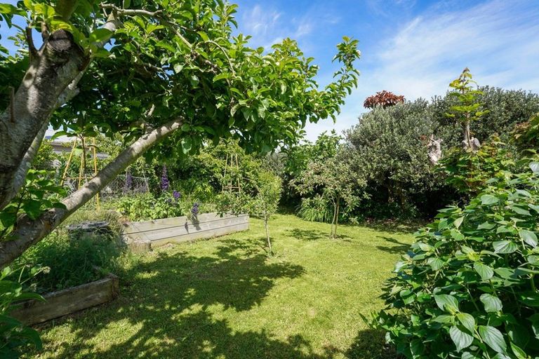 Photo of property in 103 Atkinson Avenue, Otaki Beach, Otaki, 5512