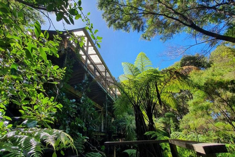 Photo of property in 46 Schoolhouse Bay Road, Kawau Island, 0920