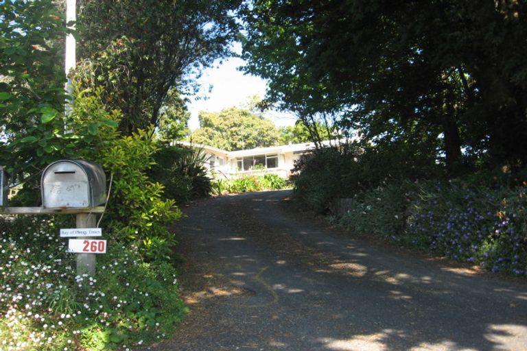 Photo of property in 260 Plummers Point Road, Whakamarama, Tauranga, 3172