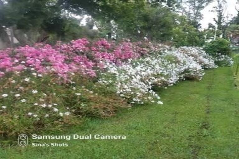 Photo of property in 56 Semple Street, Huntly, 3700