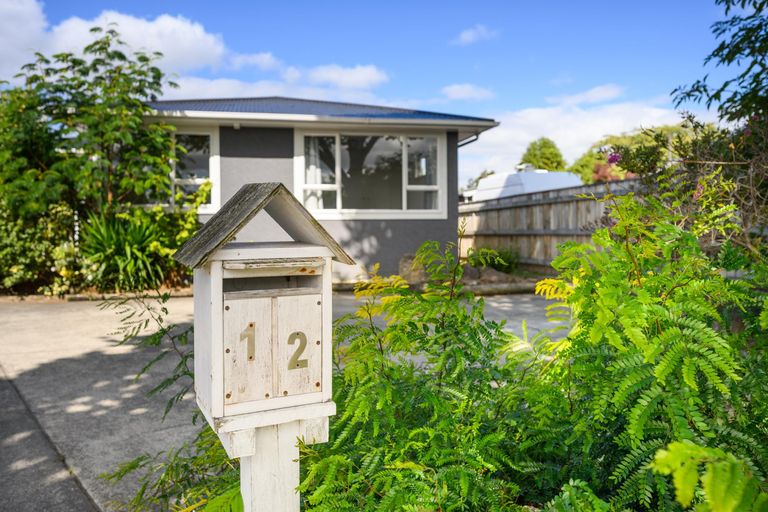 Photo of property in 12 Conway Place, Terrace End, Palmerston North, 4410