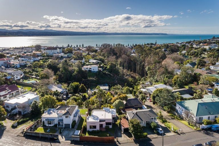 Photo of property in 61 Napier Terrace, Hospital Hill, Napier, 4110
