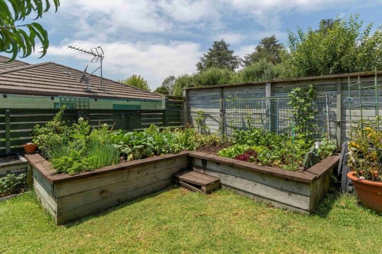 Photo of property in 52 Kayelene Place, Omokoroa, 3114