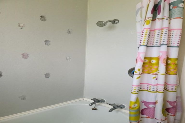 Photo of property in 17 Maire Street, Levin, 5510