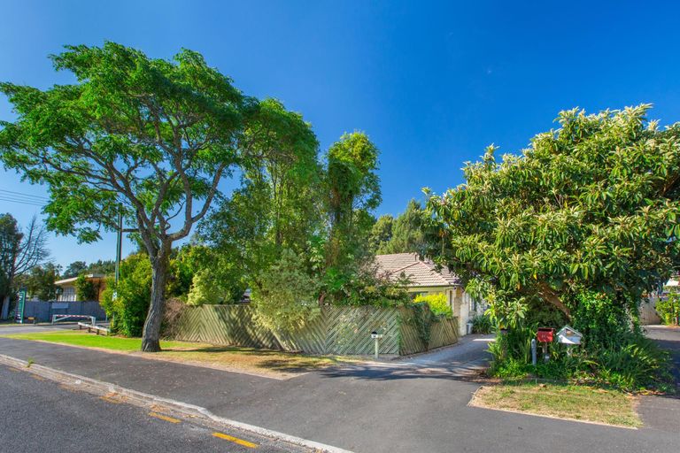 Photo of property in 8a Walsh Street, Forest Lake, Hamilton, 3200