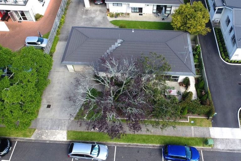 Photo of property in 1/36 Third Avenue, Tauranga, 3110