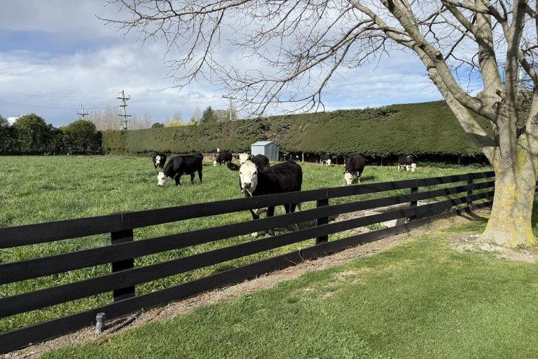 Photo of property in 82 Gartartan Road, Tinwald, Ashburton, 7774