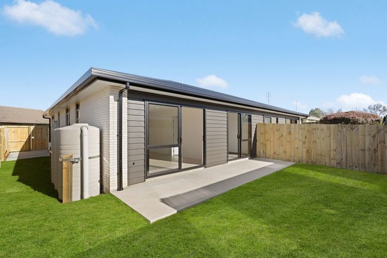 Photo of property in 17 Fend Street, Chartwell, Hamilton, 3210