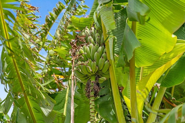 Photo of property in 5 Church Street, Aratapu, Dargaville, 0371