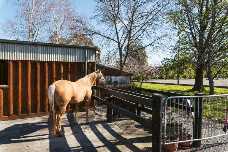 Photo of property in 189 Carrs Road, Loburn, Rangiora, 7472