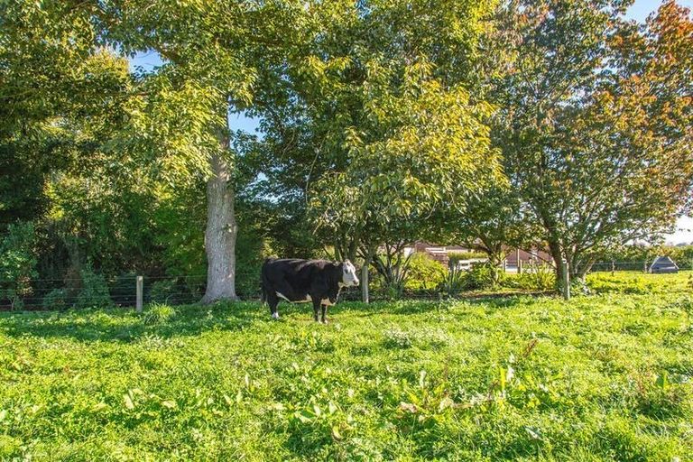 Photo of property in 314d Somerville Road, Tapapa, Tirau, 3485