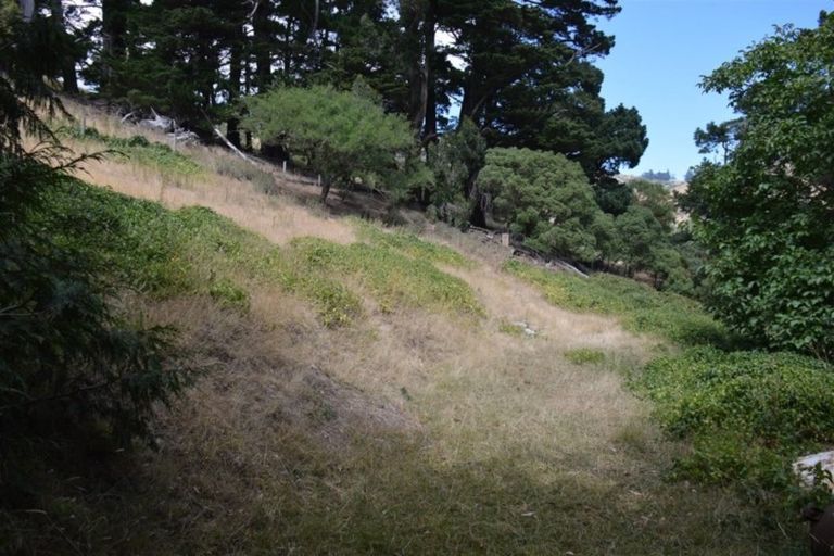 Photo of property in 64 View Hill Road, Little Akaloa, 7583