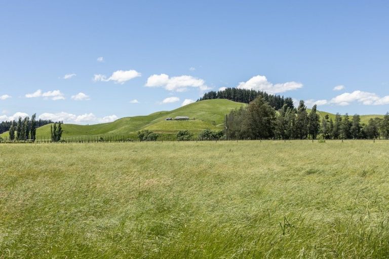 Photo of property in 1212 Ohiti Road, Crownthorpe, Hastings, 4179