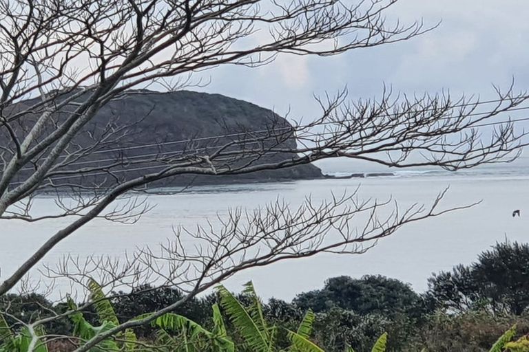 Photo of property in 289 Hokianga Harbour Drive, Omapere, Kaikohe, 0473