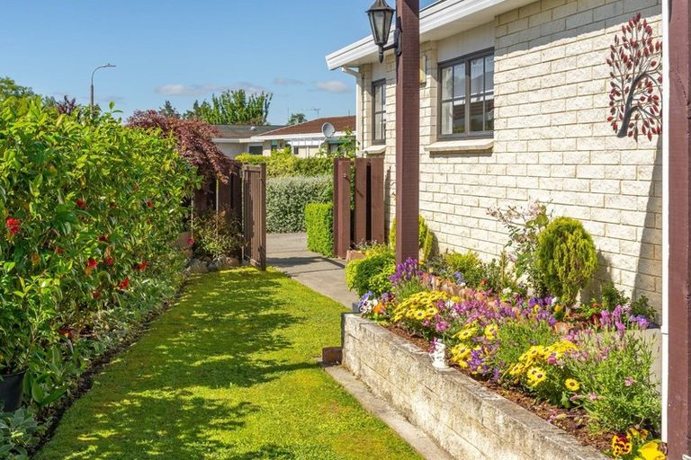 Photo of property in 97k High Street, Solway, Masterton, 5810