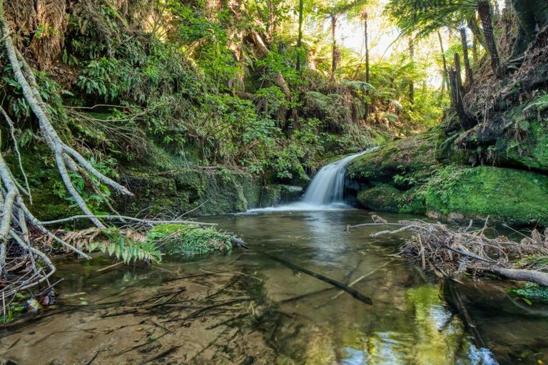 Photo of property in 299c Whakamarama Road, Whakamarama, 3179