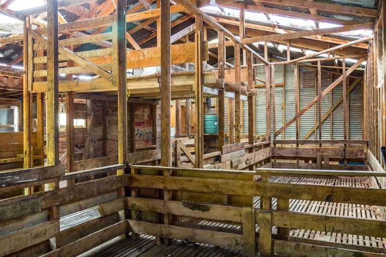 Photo of property in 113 Kaitawa Road, Hautere, Otaki, 5582