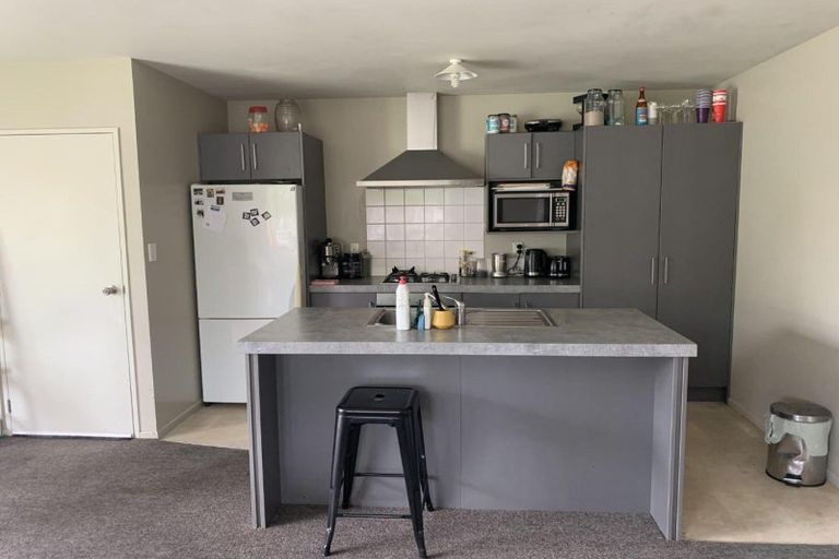 Photo of property in 22a Brocas Avenue, Hillcrest, Hamilton, 3216