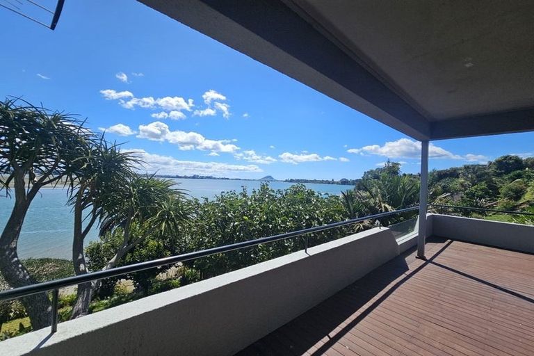 Photo of property in 390 Maungatapu Road, Maungatapu, Tauranga, 3112