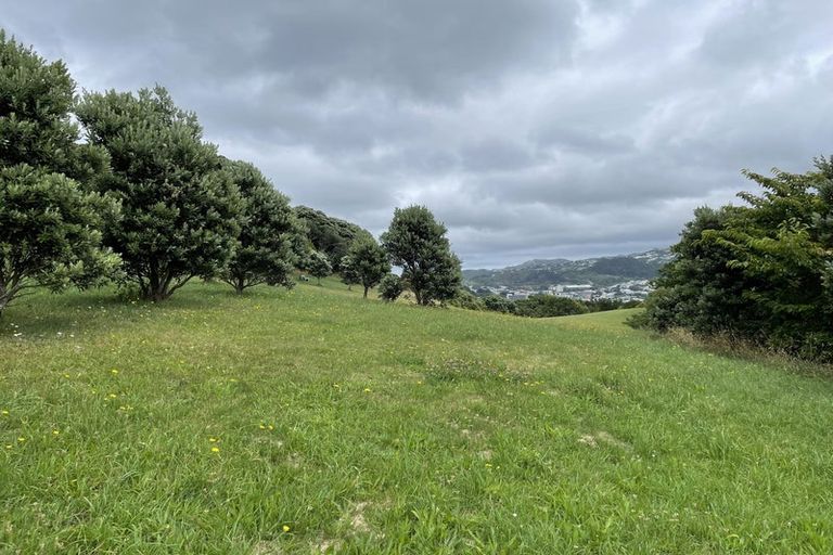 Photo of property in 17 Shannon Street, Mount Victoria, Wellington, 6011