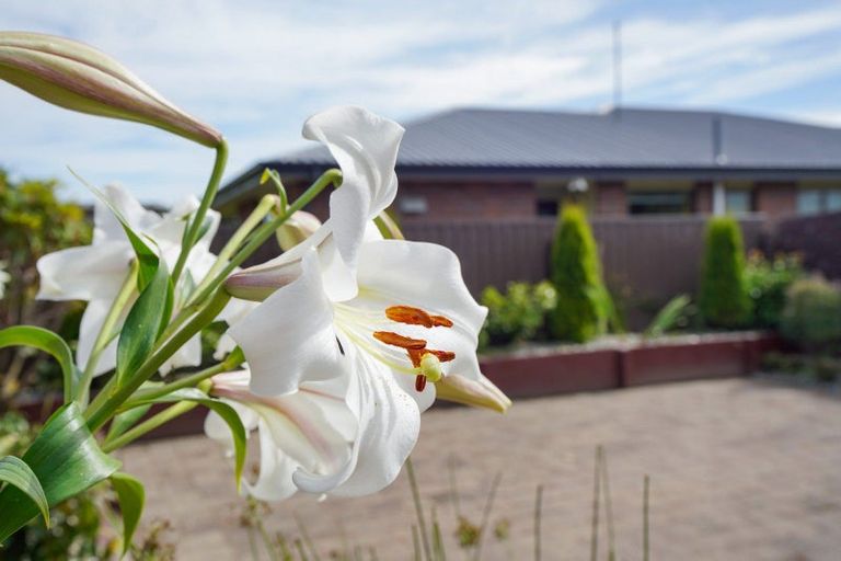 Photo of property in 15 Terrace Street, Rosedale, Invercargill, 9810