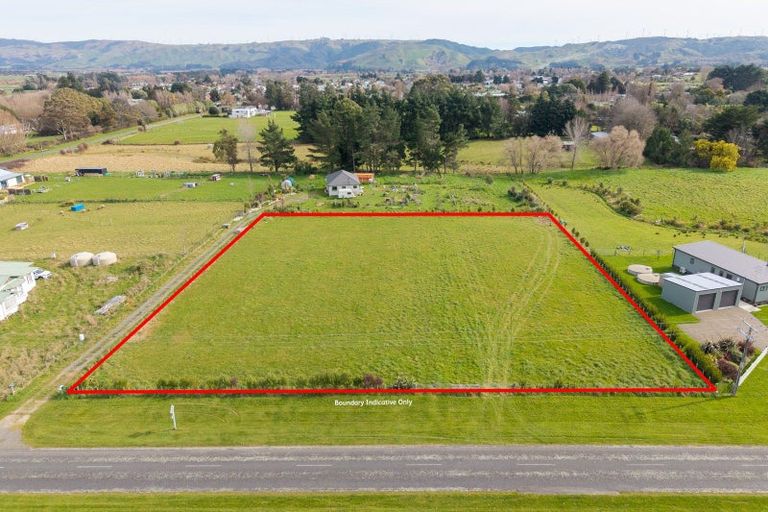 Photo of property in 16 Nelson Street, Woodville, 4997