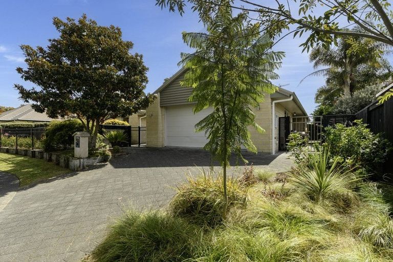 Photo of property in 60 Chater Avenue, Bethlehem, Tauranga, 3110