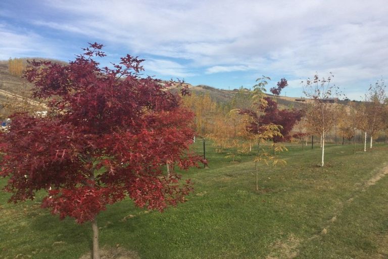 Photo of property in 131 Mcarthur Road, Springvale, Alexandra, 9391