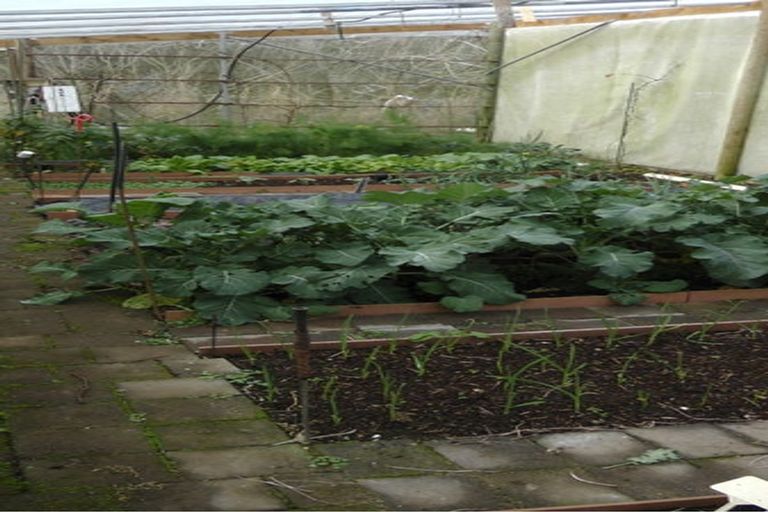 Photo of property in 103 Block Road, Hikutaia, Paeroa, 3674