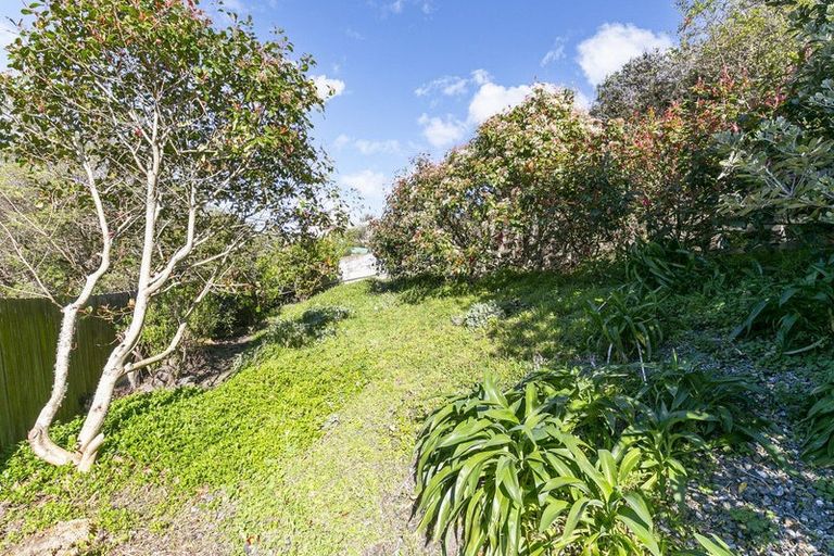 Photo of property in 29 Mccoll Street, Vogeltown, Wellington, 6021