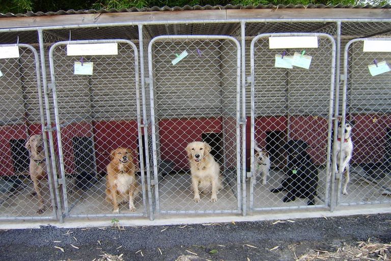 Photo of property in 349 Hauraki Road, Orongo, Thames, 3574