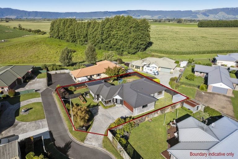 Photo of property in 108 Tawari Street, Matamata, 3400