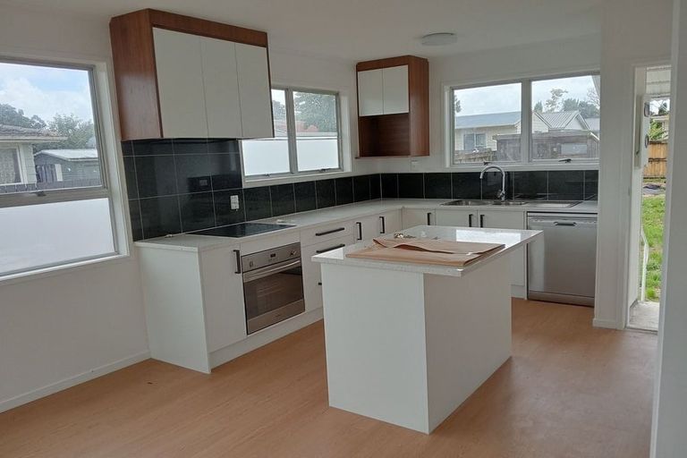 Photo of property in 48 Goodwin Drive, Rosehill, Papakura, 2113