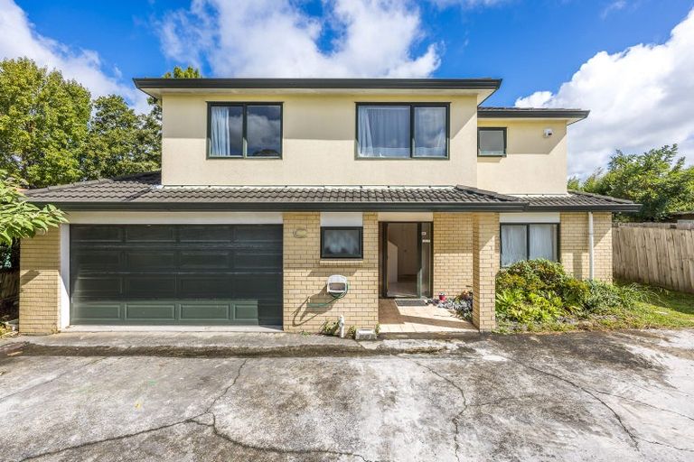 Photo of property in 106a Rathgar Road, Henderson, Auckland, 0610