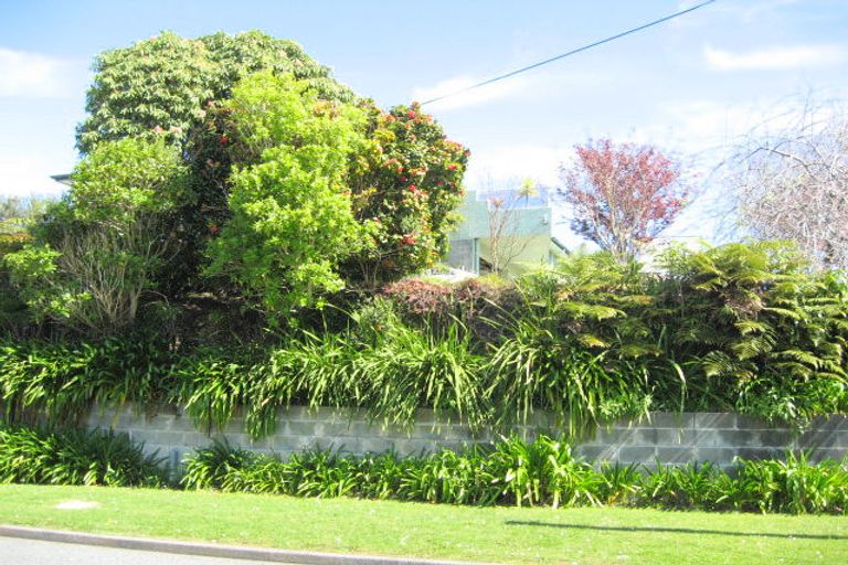 Photo of property in 34 Fernleigh Street, Ferndale, New Plymouth, 4310