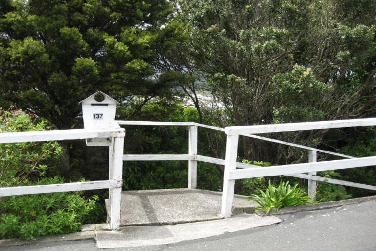 Photo of property in 137 The Ridgeway, Mornington, Wellington, 6021