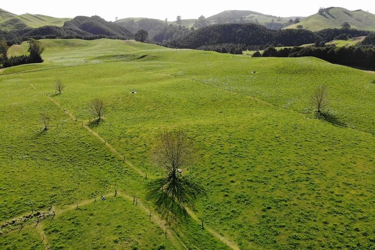 Photo of property in 850 Te Kopia Road, Waikite Valley, 3077