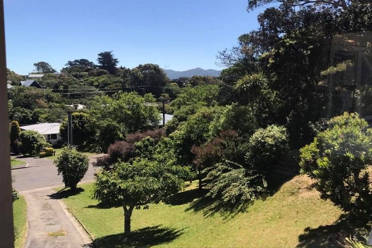 Photo of property in 62 Alexander Road, Raumati Beach, Paraparaumu, 5032