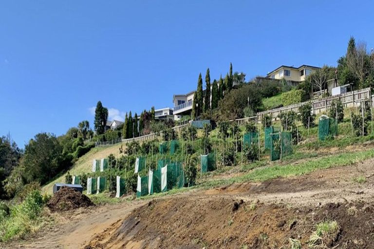 Photo of property in 79 Sapphire Drive, Hairini, Tauranga, 3112