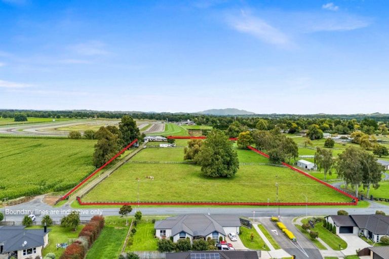Photo of property in 60 Banks Road, Matamata, 3473