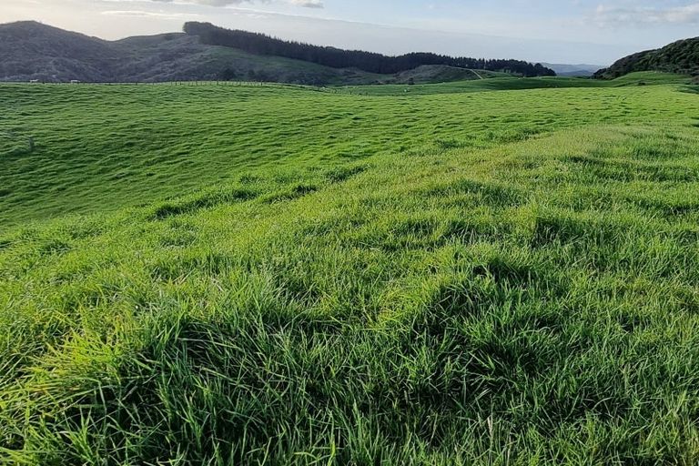 Photo of property in 165 Kereru Road, Glen Massey, Ngaruawahia, 3794