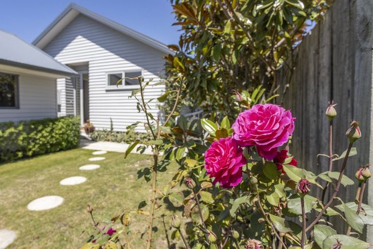 Photo of property in 8 Winton Street, St Albans, Christchurch, 8014