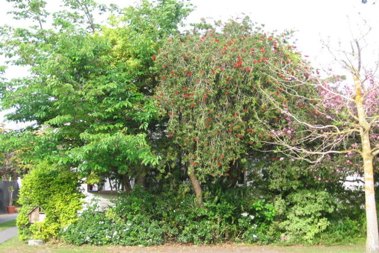 Photo of property in 144 Stout Street, Mangapapa, Gisborne, 4010