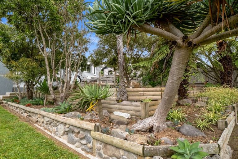 Photo of property in 17 Argyle Avenue, Levin, 5510